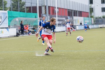 Bild 161 - wBJ Hamburger SV - FC Suederelbe : Ergebnis: 9:0